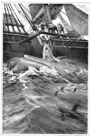 C W Ashley - sperm whale with sharks - www.WhalingCity.net