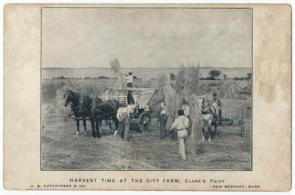 New Bedford Poor Farm 1907 Harvest - www.WhalingCity.net
